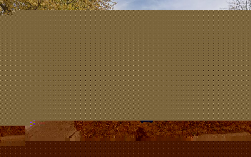 White Collar Grooming