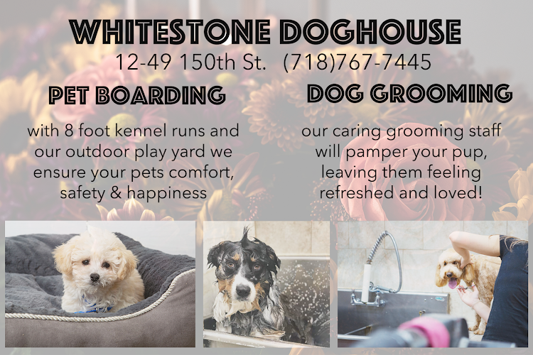 Whitestone Doghouse