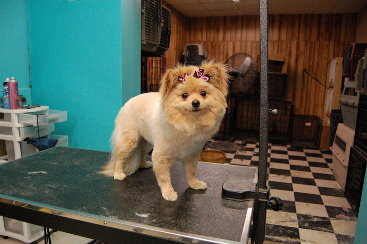 Whole Pet - Fort Smith