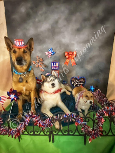 Wicked Tails Grooming LLC