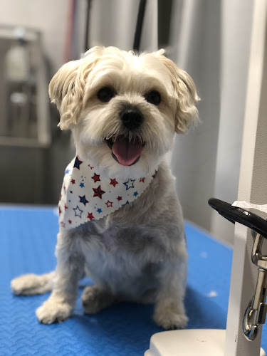 Wigglebutt Dog Grooming