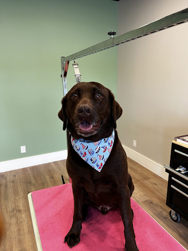 Wigglebutts Suds & Cuts