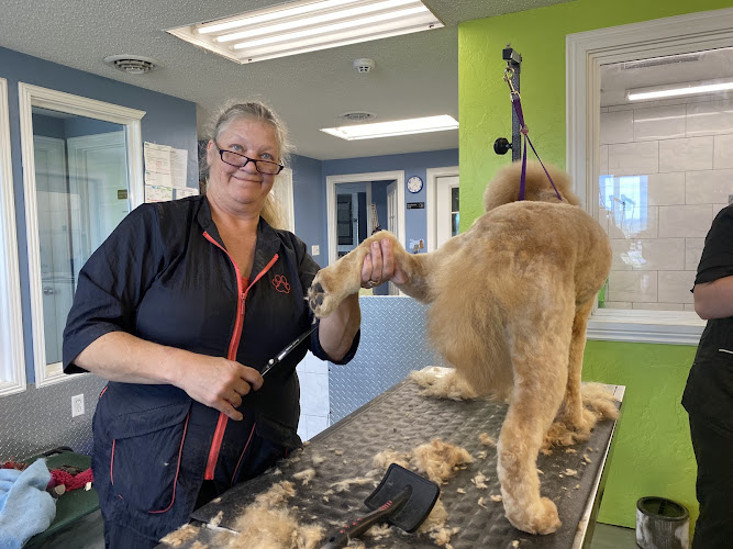 Wiggles N’ Waggles Pet Resort & sPAW