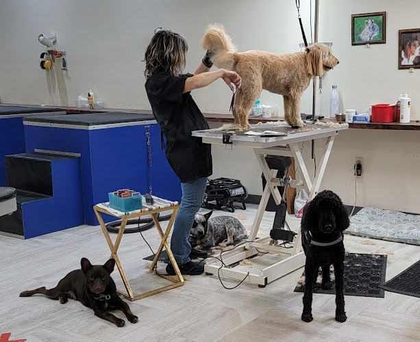 Wiggles & Wags Grooming - Dog Wash | Dog Groomer | Pet Salon | Dog Grooming Service in Portland OR