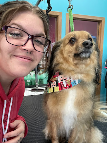 Wiggles & Wags Pet Salon