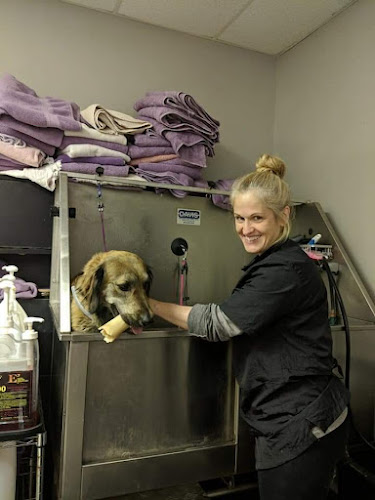 Willow Hill Pet Salon & Resort L.L.C