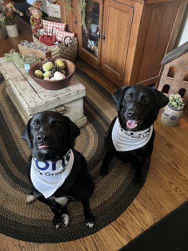 Winding Road Kennel Inc