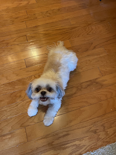 Winter Tropics Pup Spa