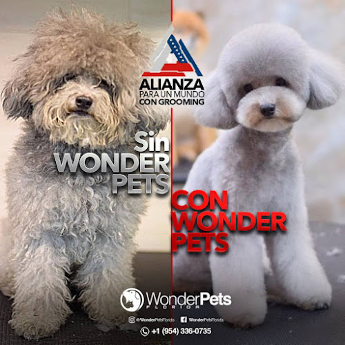 Wonder Pets Florida