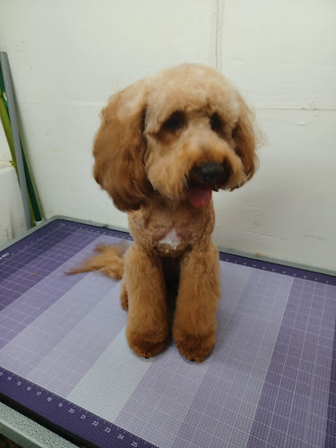 Wonderfurly Pet Care LLC