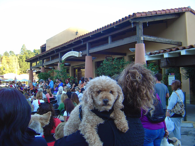 Woodlands Pet (Moved to The Cove)