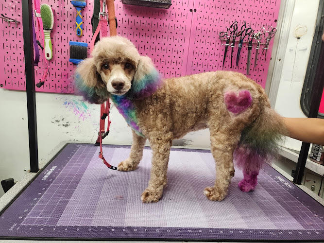 Woof and Fluff Mobile Pet Styling