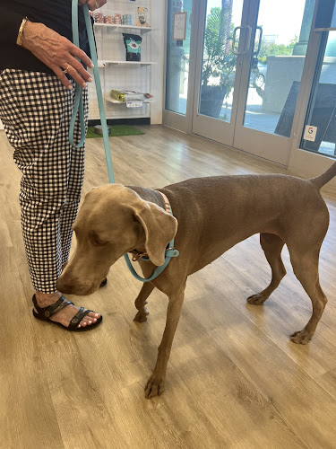 Woof Gang Bakery and Grooming Hilton Head