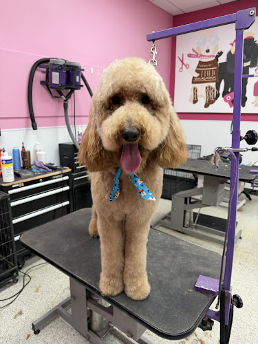 Woof Gang Bakery & Grooming Alamo Heights