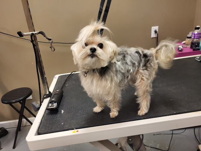 Woof Gang Bakery & Grooming Augusta