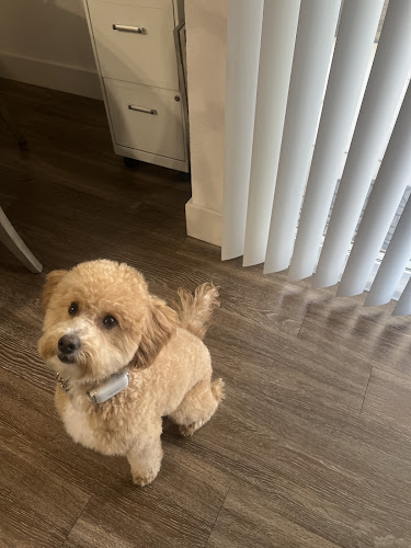 Woof Gang Bakery & Grooming Belmont Shore