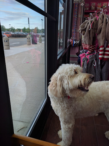 Woof Gang Bakery & Grooming Bridgewater