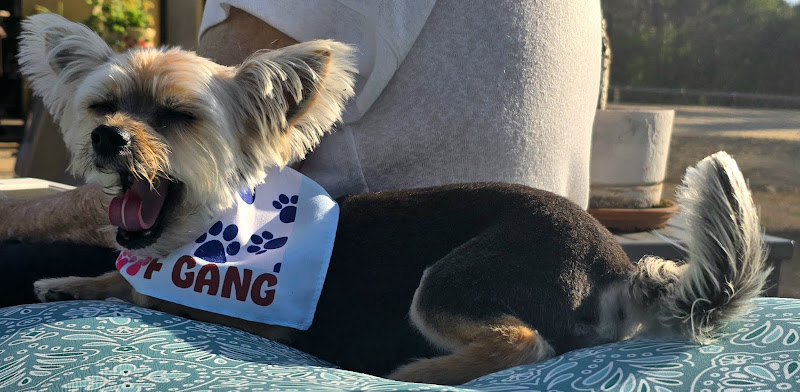 Woof Gang Bakery & Grooming Cape Coral