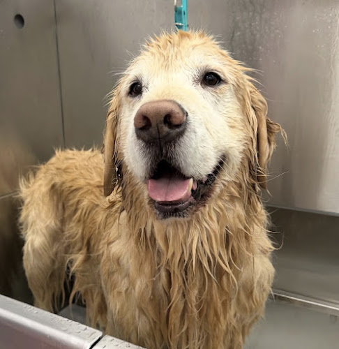 Woof Gang Bakery & Grooming Capitol Hill