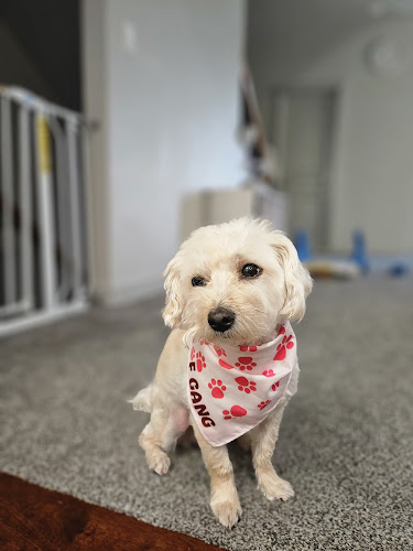 Woof Gang Bakery & Grooming Carriage Crossing