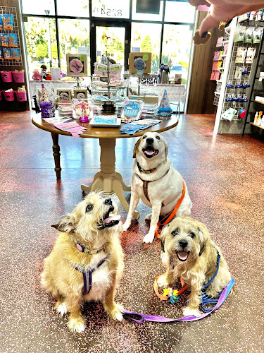 Woof Gang Bakery & Grooming Champions Gate