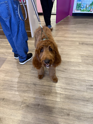 Woof Gang Bakery & Grooming Circle Cross