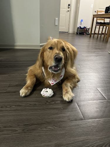 Woof Gang Bakery & Grooming Daytona