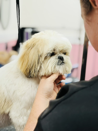 Woof Gang Bakery & Grooming Delray