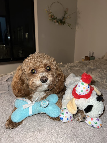 Woof Gang Bakery & Grooming East Liberty