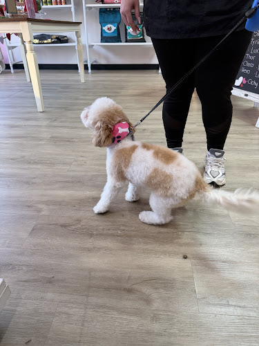 Woof Gang Bakery & Grooming Edgewater