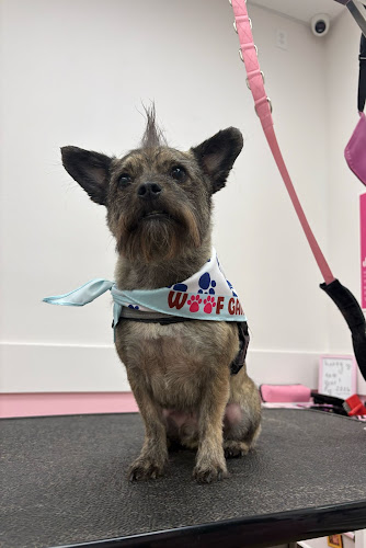 Woof Gang Bakery & Grooming El Paso