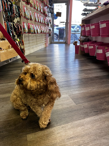 Woof Gang Bakery & Grooming Glen Rock