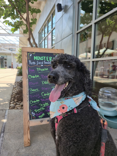Woof Gang Bakery & Grooming Heights