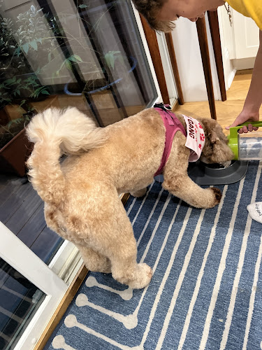Woof Gang Bakery & Grooming Hoboken
