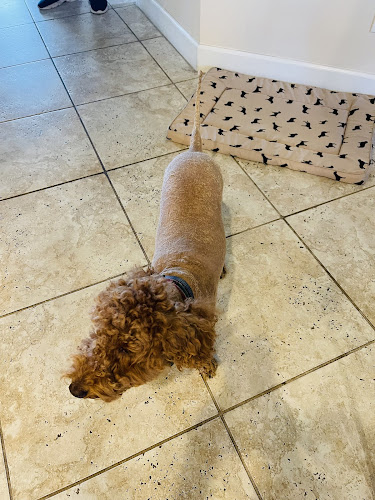 Woof Gang Bakery & Grooming Lake Nona