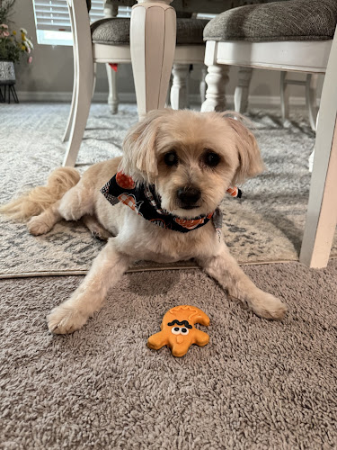 Woof Gang Bakery & Grooming Lakeland