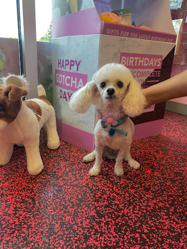 Woof Gang Bakery & Grooming Landstar