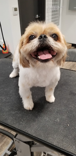 Woof Gang Bakery & Grooming Mueller