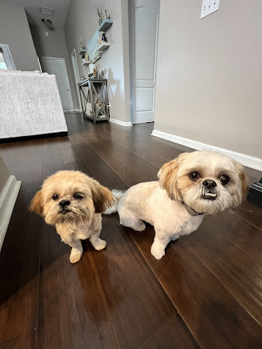 Woof Gang Bakery & Grooming Murabella