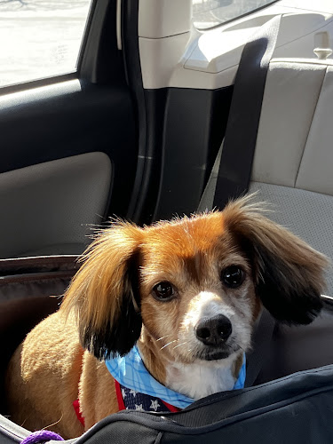 Woof Gang Bakery & Grooming NorthShore