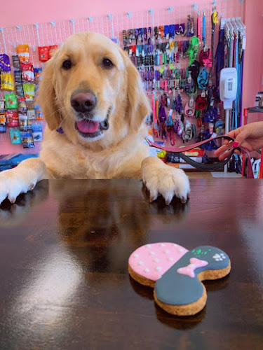 Woof Gang Bakery & Grooming Ormond Beach