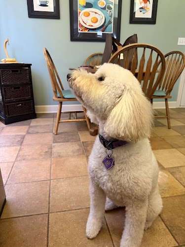 Woof Gang Bakery & Grooming Overland Park