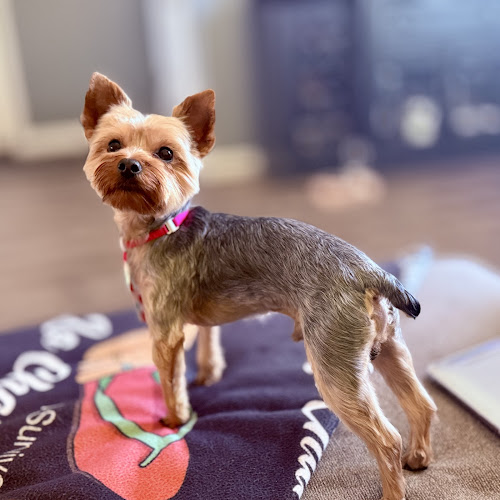 Woof Gang Bakery & Grooming Park Place