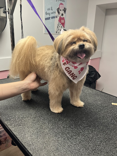 Woof Gang Bakery & Grooming Park Slope