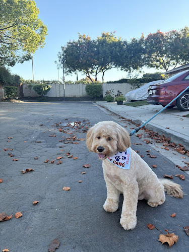 Woof Gang Bakery & Grooming Santa Clara