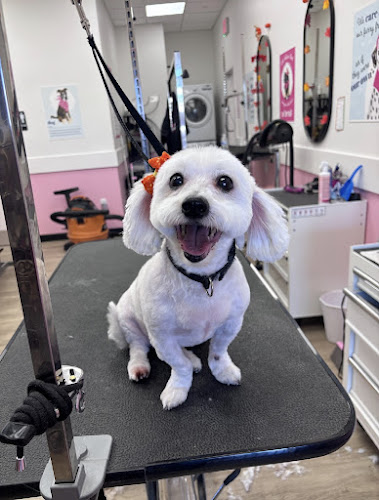 Woof Gang Bakery & Grooming South Chandler
