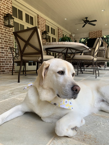 Woof Gang Bakery & Grooming South Park