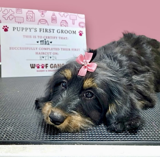 Woof Gang Bakery & Grooming South Tampa