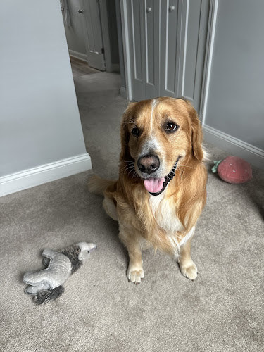 Woof Gang Bakery & Grooming Southern Pines