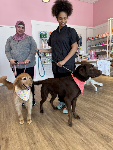 Woof Gang Bakery & Grooming St. Johns Town Center